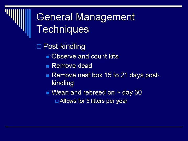 General Management Techniques o Post-kindling n n Observe and count kits Remove dead Remove