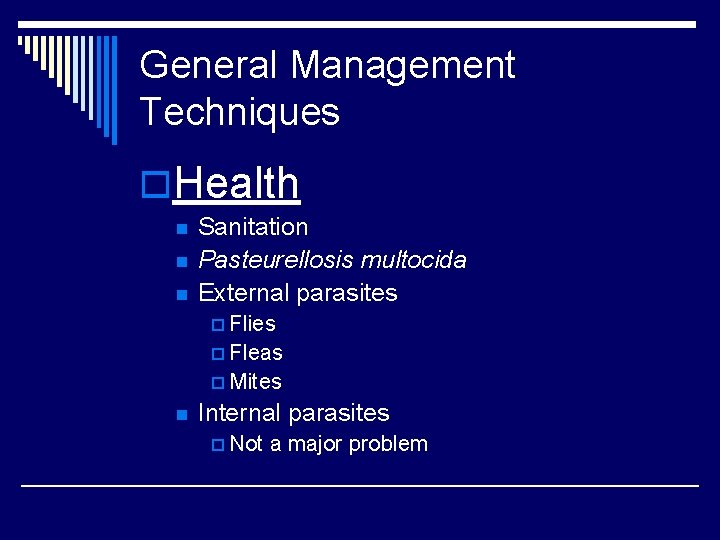 General Management Techniques o. Health n n n Sanitation Pasteurellosis multocida External parasites p