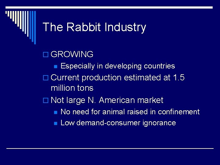 The Rabbit Industry o GROWING n Especially in developing countries o Current production estimated