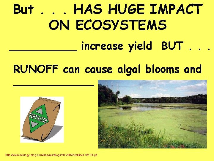 But. . . HAS HUGE IMPACT ON ECOSYSTEMS _____ increase yield BUT. . .