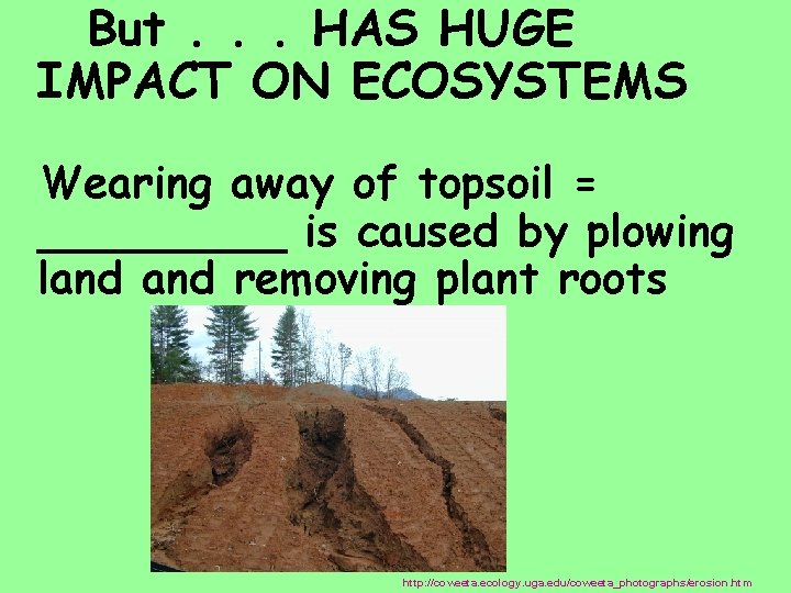But. . . HAS HUGE IMPACT ON ECOSYSTEMS Wearing away of topsoil = _____