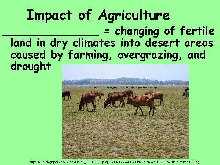 Impact of Agriculture _______ = changing of fertile land in dry climates into desert