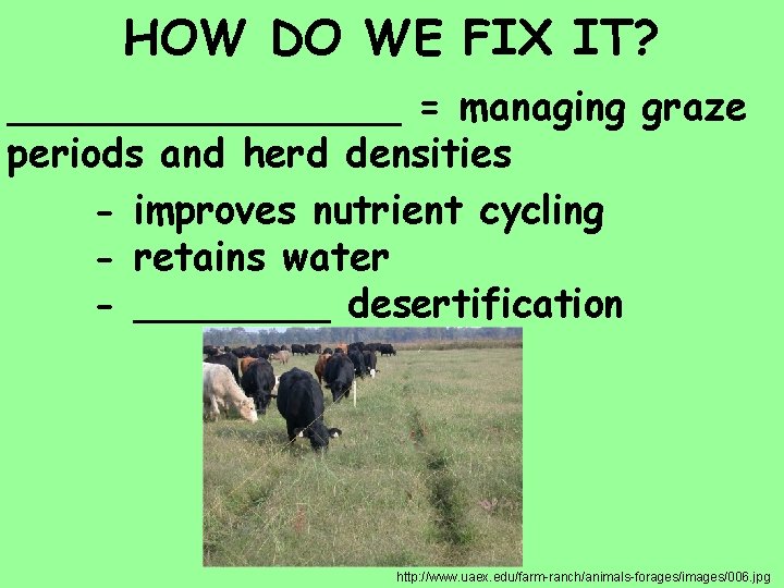 HOW DO WE FIX IT? ________ = managing graze periods and herd densities -