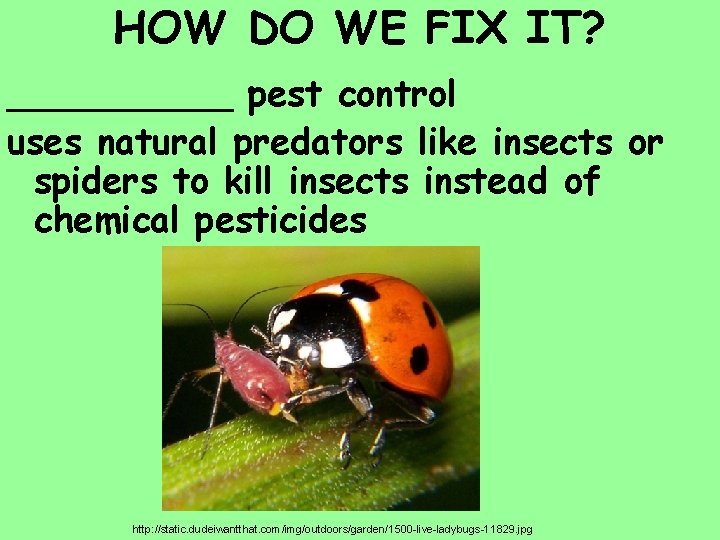 HOW DO WE FIX IT? _____ pest control uses natural predators like insects or