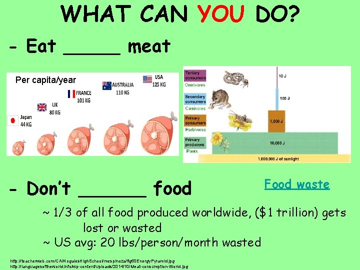 WHAT CAN YOU DO? - Eat _____ meat Per capita/year - Don’t ______ food