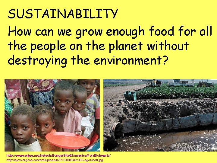 SUSTAINABILITY How can we grow enough food for all the people on the planet