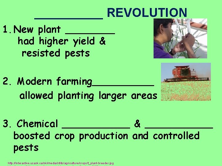 _____ REVOLUTION 1. New plant ____ had higher yield & resisted pests 2. Modern