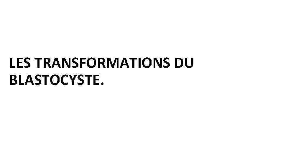 LES TRANSFORMATIONS DU BLASTOCYSTE. 