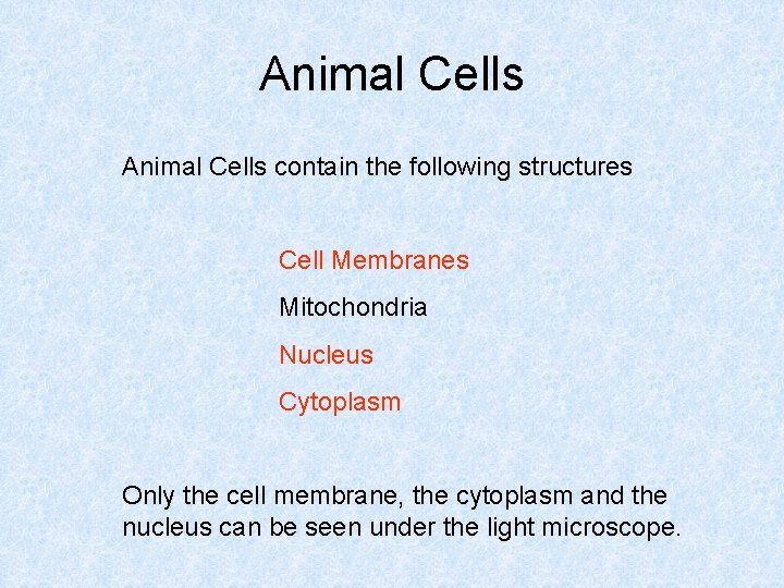 Animal Cells contain the following structures Cell Membranes Mitochondria Nucleus Cytoplasm Only the cell