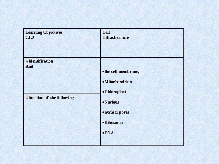 Learning Objectives 2. 1. 3 Identification And Cell Ultrastructure the cell membrane, Mitochondrion Chloroplast