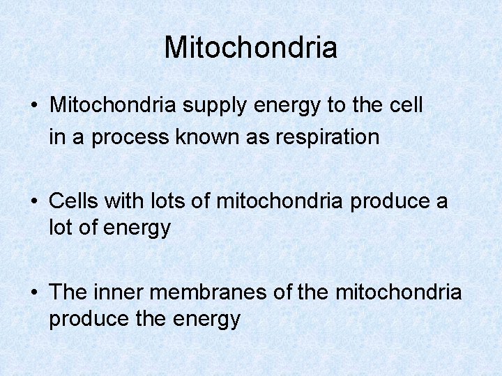 Mitochondria • Mitochondria supply energy to the cell in a process known as respiration