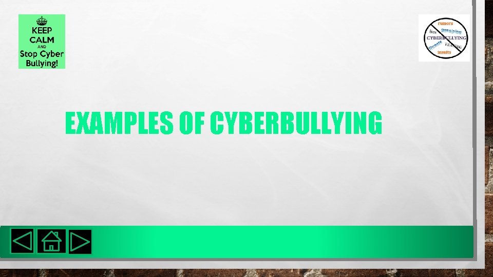 EXAMPLES OF CYBERBULLYING 