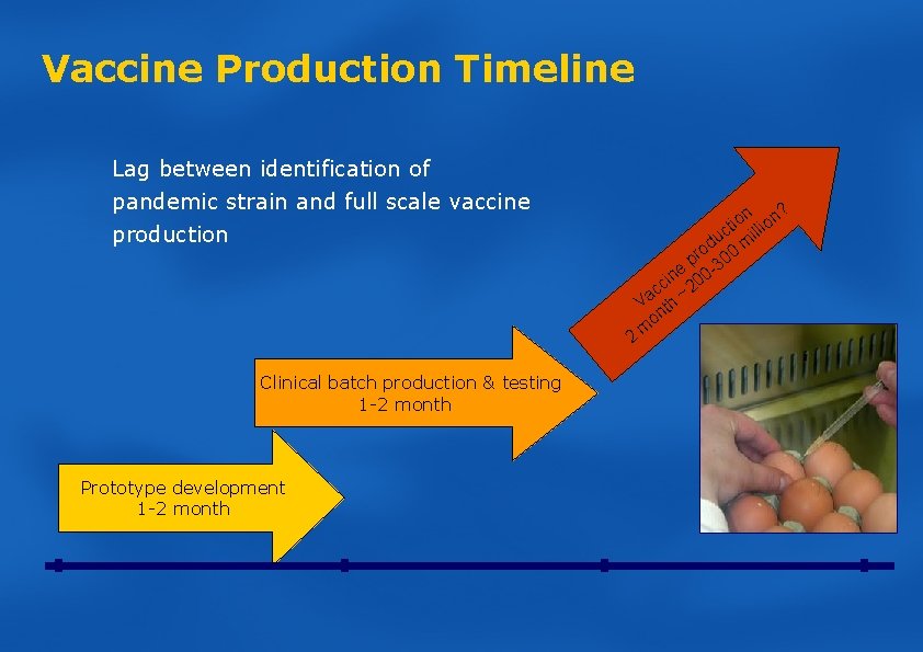 Vaccine Production Timeline Lag between identification of pandemic strain and full scale vaccine production