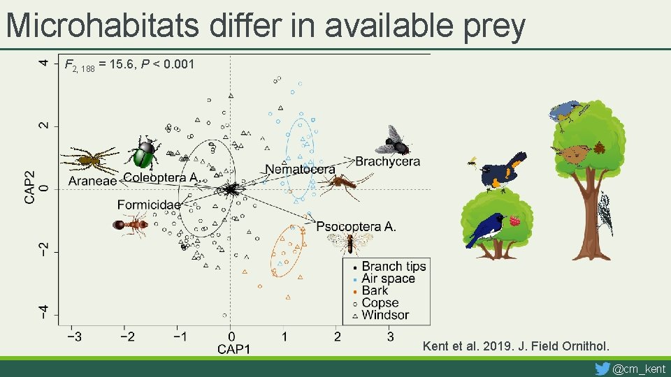 Microhabitats differ in available prey F 2, 188 = 15. 6, P < 0.