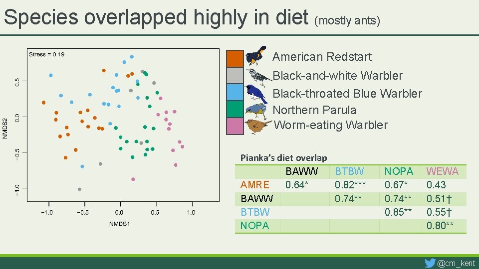 Species overlapped highly in diet (mostly ants) American Redstart Black-and-white Warbler Black-throated Blue Warbler
