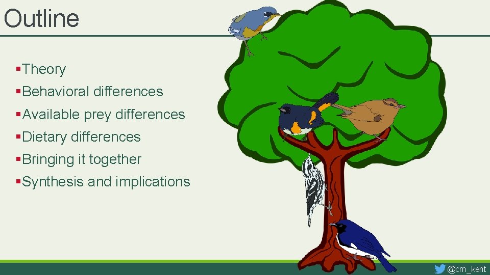 Outline §Theory §Behavioral differences §Available prey differences §Dietary differences §Bringing it together §Synthesis and