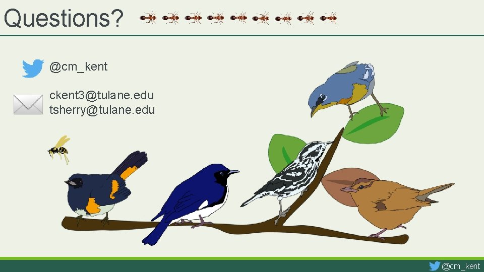 Questions? @cm_kent ckent 3@tulane. edu tsherry@tulane. edu @cm_kent 