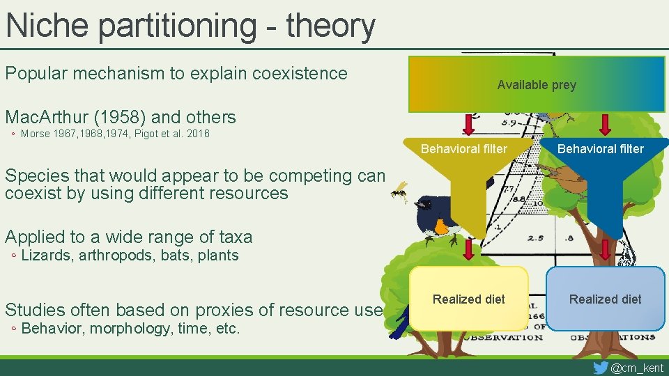 Niche partitioning - theory Popular mechanism to explain coexistence Available prey Mac. Arthur (1958)