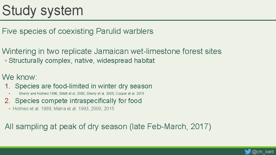 Study system Five species of coexisting Parulid warblers Wintering in two replicate Jamaican wet-limestone