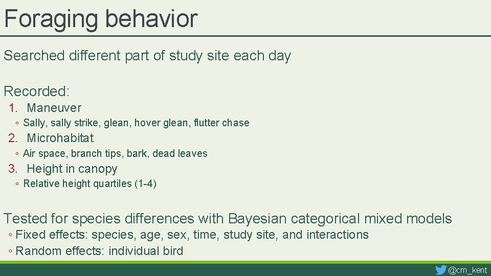 Foraging behavior Searched different part of study site each day Recorded: 1. Maneuver ◦