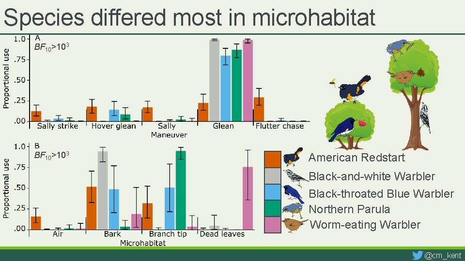 Species differed most in microhabitat BF 10>103 American Redstart Black-and-white Warbler Black-throated Blue Warbler