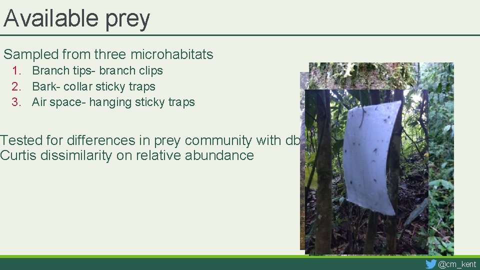 Available prey Sampled from three microhabitats 1. Branch tips- branch clips 2. Bark- collar