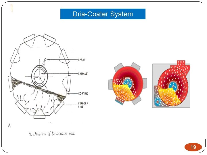 Dria-Coater System 19 