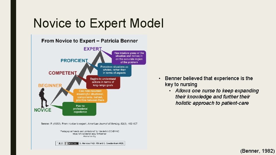 Novice to Expert Model • Benner believed that experience is the key to nursing