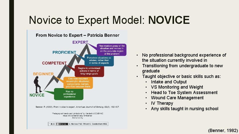 Novice to Expert Model: NOVICE • No professional background experience of the situation currently