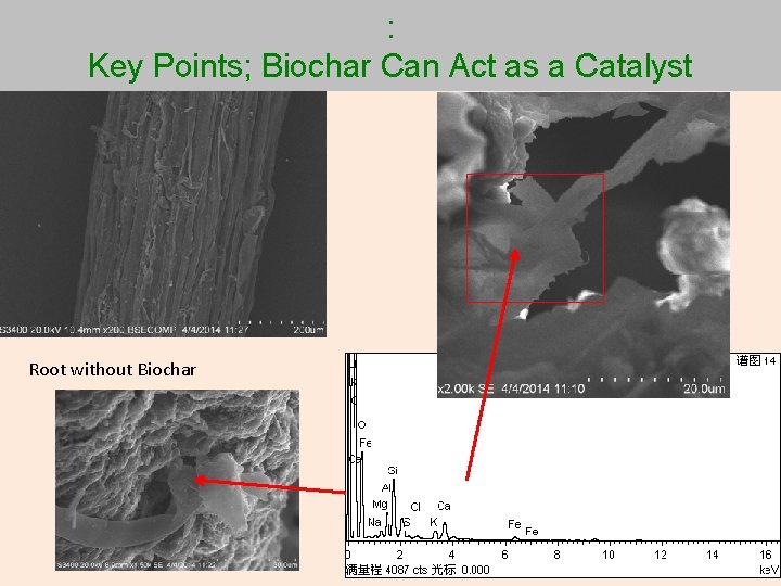 : Key Points; Biochar Can Act as a Catalyst Root without Biochar 