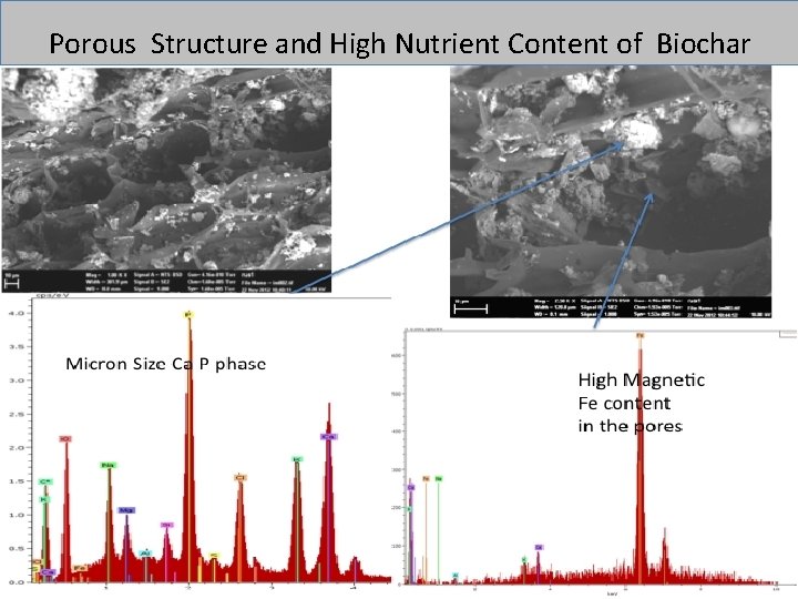 Porous Structure and High Nutrient Content of Biochar 
