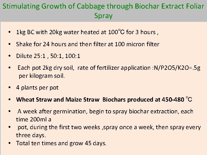 Stimulating Growth of Cabbage through Biochar Extract Foliar Spray • 1 kg BC with
