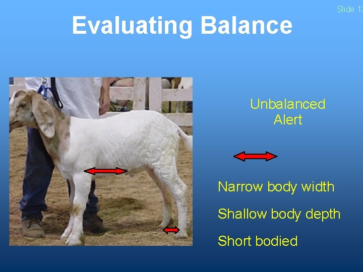 Evaluating Balance Slide 13 Unbalanced Alert Narrow body width Shallow body depth Short bodied