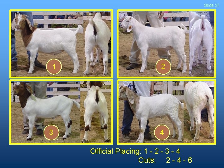 Slide 21 1 3 2 4 Official Placing: 1 - 2 - 3 -