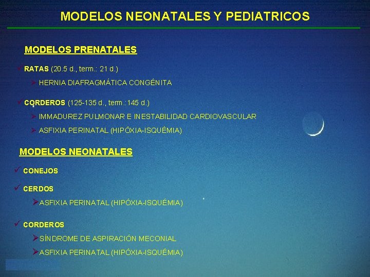 MODELOS NEONATALES Y PEDIATRICOS MODELOS PRENATALES üRATAS (20. 5 d. , term. : 21