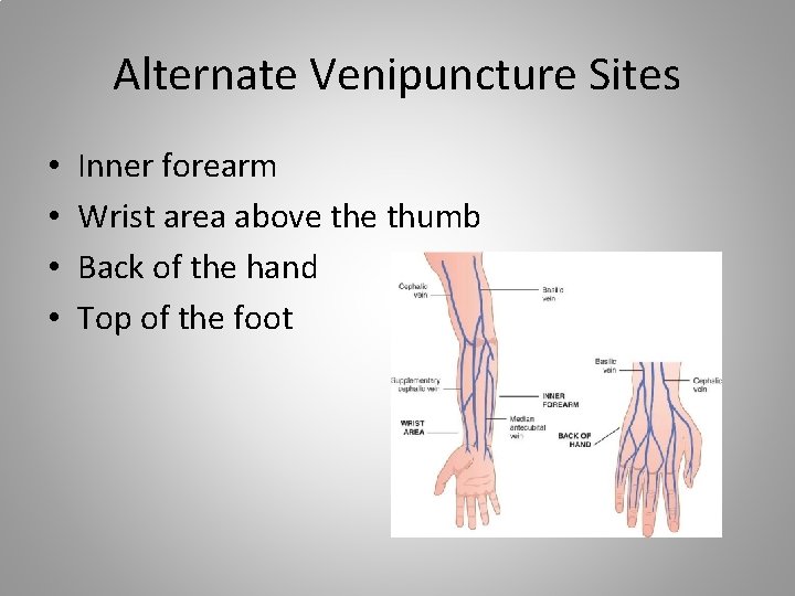 Alternate Venipuncture Sites • • Inner forearm Wrist area above thumb Back of the