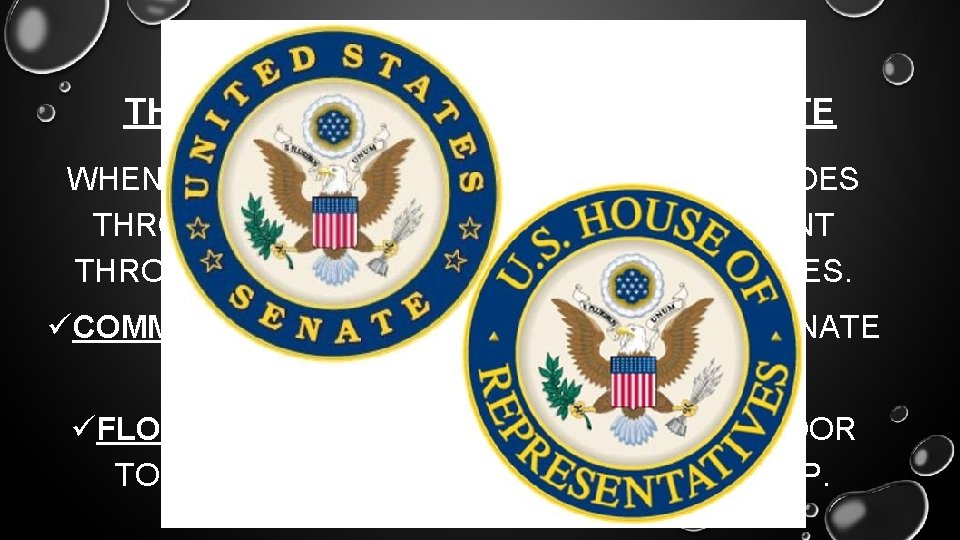 THE BILL IS REFERRED TO THE SENATE WHEN A BILL REACHES THE U. S.