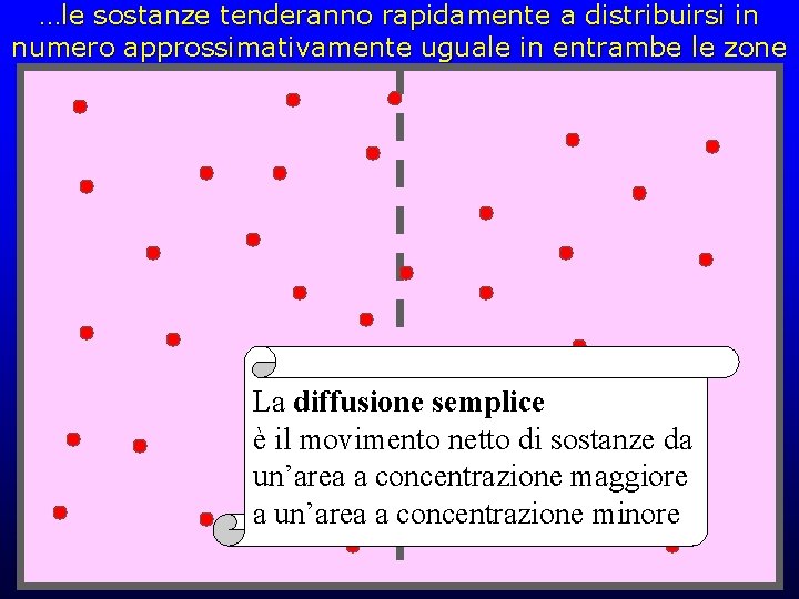 …le sostanze tenderanno rapidamente a distribuirsi in numero approssimativamente uguale in entrambe le zone