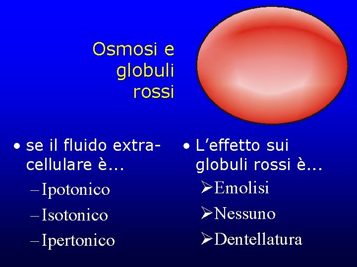 Osmosi e globuli rossi • se il fluido extracellulare è. . . – Ipotonico