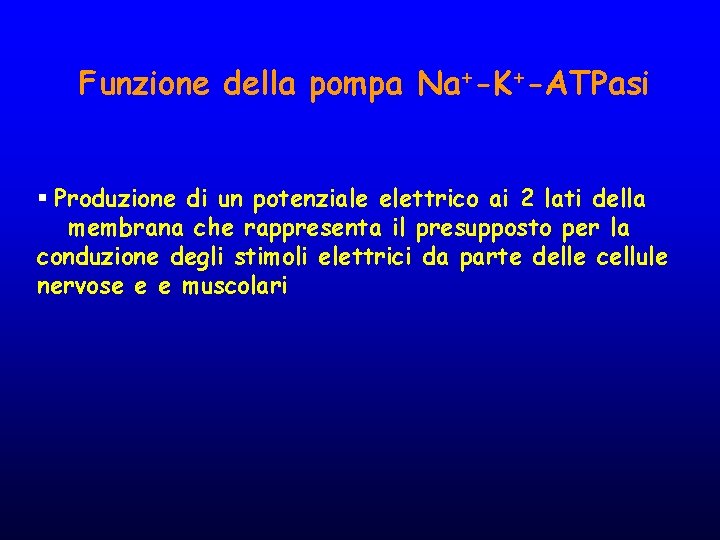 Funzione della pompa Na+-K+-ATPasi § Produzione di un potenziale elettrico ai 2 lati della