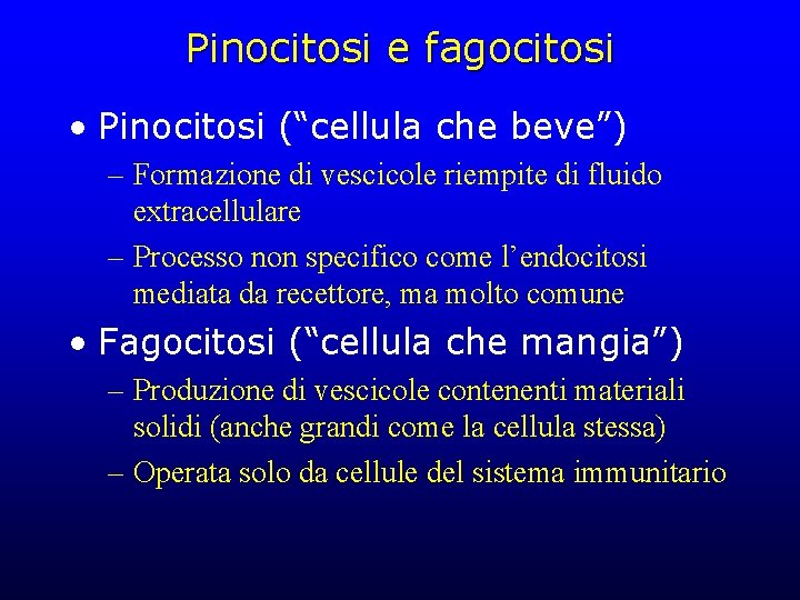 Pinocitosi e fagocitosi • Pinocitosi (“cellula che beve”) – Formazione di vescicole riempite di