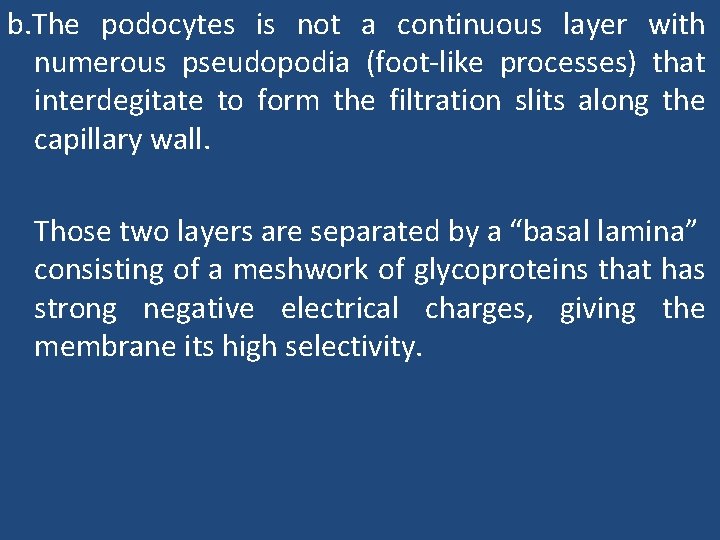 b. The podocytes is not a continuous layer with numerous pseudopodia (foot-like processes) that