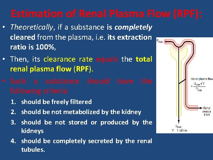 Estimation of Renal Plasma Flow (RPF): • Theoretically, Theoretically if a substance is completely