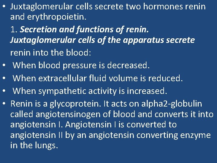  • Juxtaglomerular cells secrete two hormones renin and erythropoietin. 1. Secretion and functions