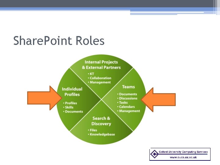 Share. Point Roles 