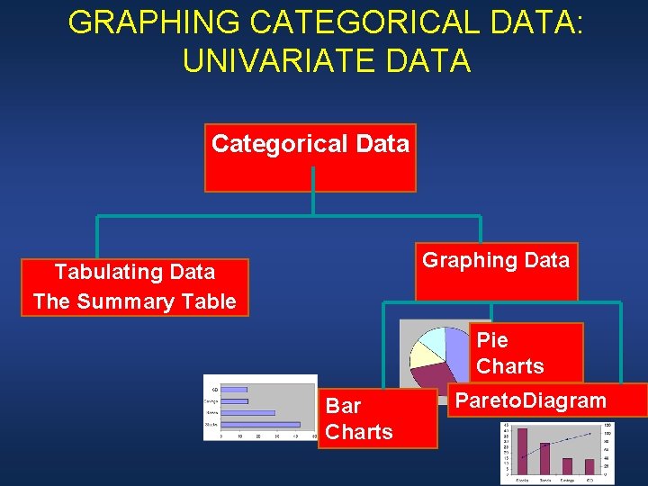 GRAPHING CATEGORICAL DATA: UNIVARIATE DATA Categorical Data Graphing Data Tabulating Data The Summary Table
