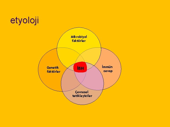etyoloji Mikrobiyal faktörler Genetik faktörler İBH Çevresel tetikleyiciler İmmün cevap 