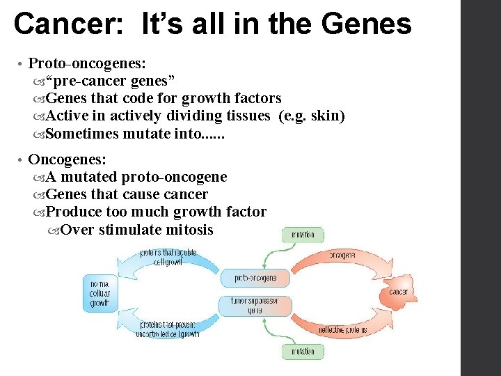 Cancer: It’s all in the Genes • Proto-oncogenes: “pre-cancer genes” Genes that code for
