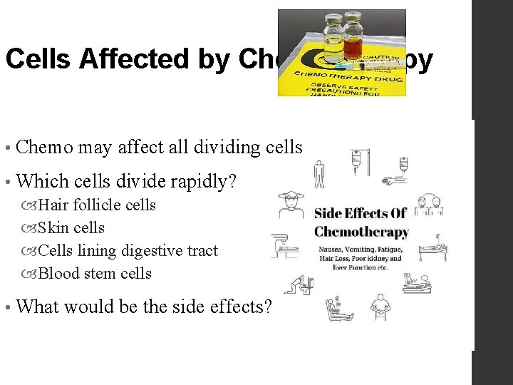 Cells Affected by Chemotherapy • Chemo may affect all dividing cells • Which cells