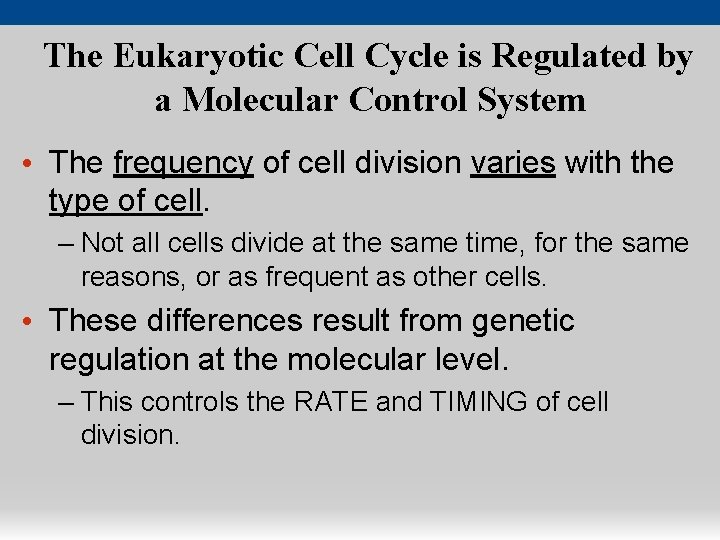 The Eukaryotic Cell Cycle is Regulated by a Molecular Control System • The frequency